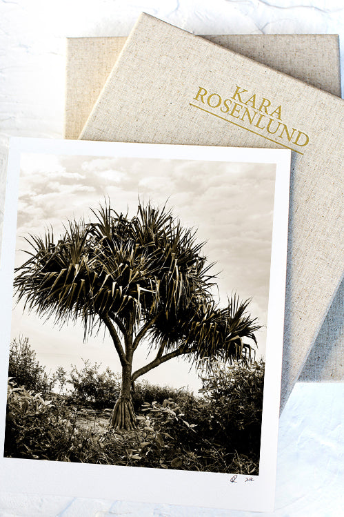 Traditional Pandanus Print with Gift Box