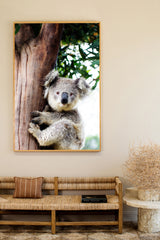 Betty Koala-Vertical