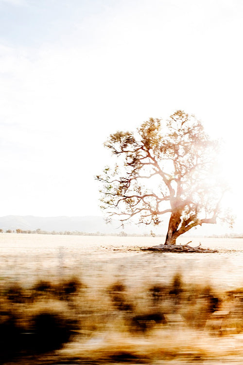 Australian Road Trip Print with Gift Box