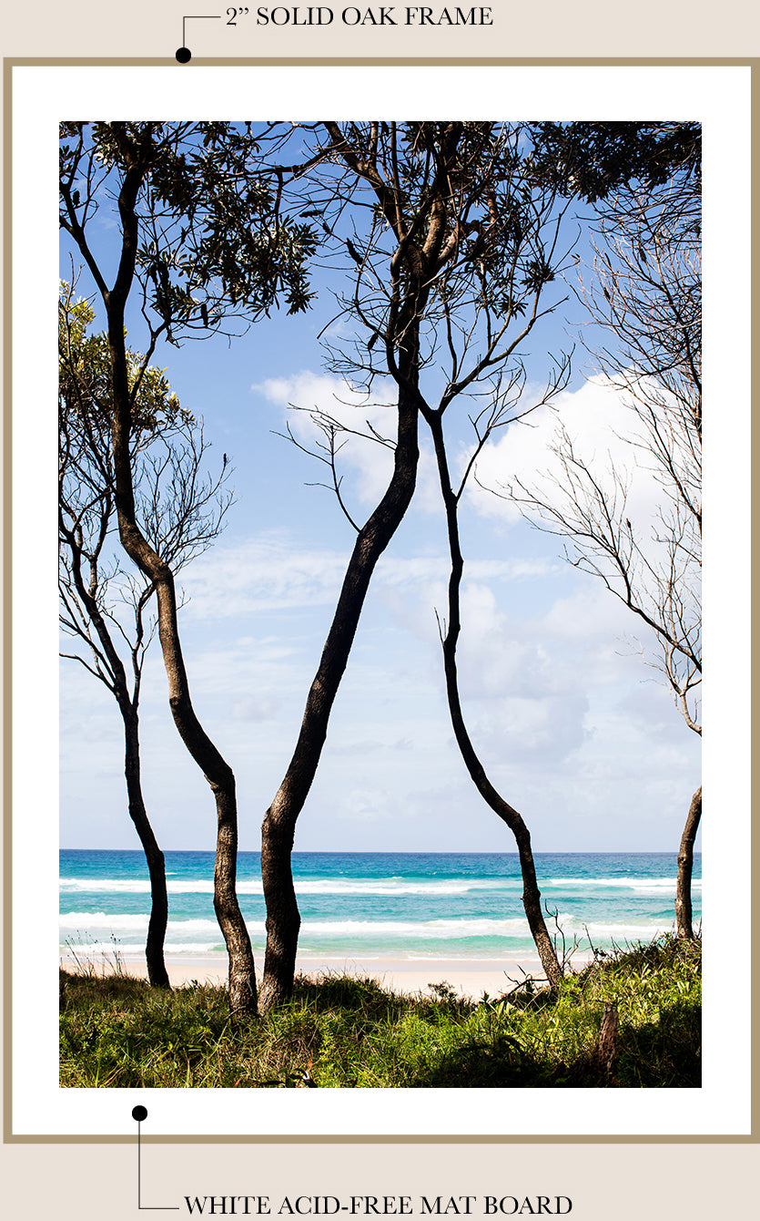 Australian Summer - Colour