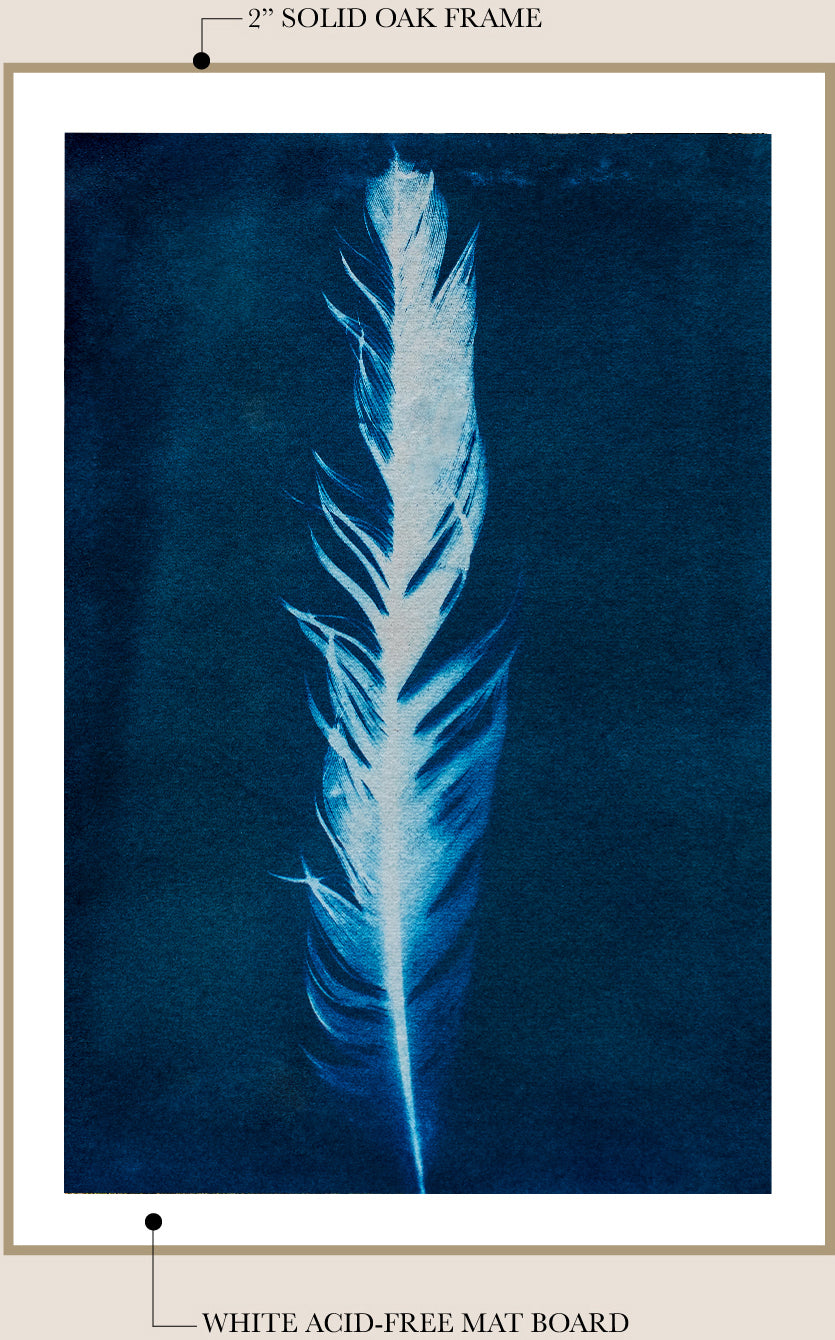 Cyanotype Feather