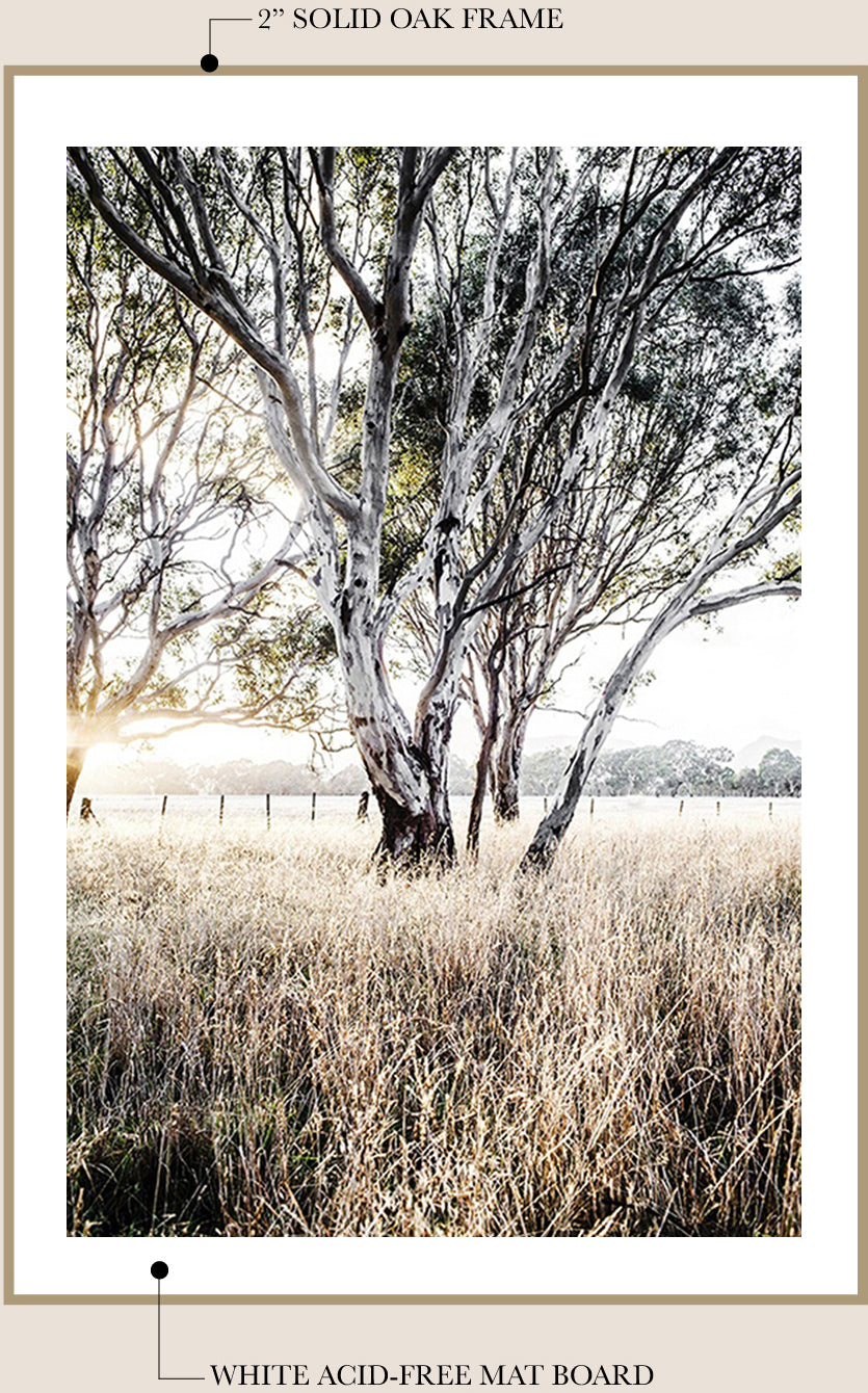 The Power Couple - Bridle Track and Ghost Gums Set