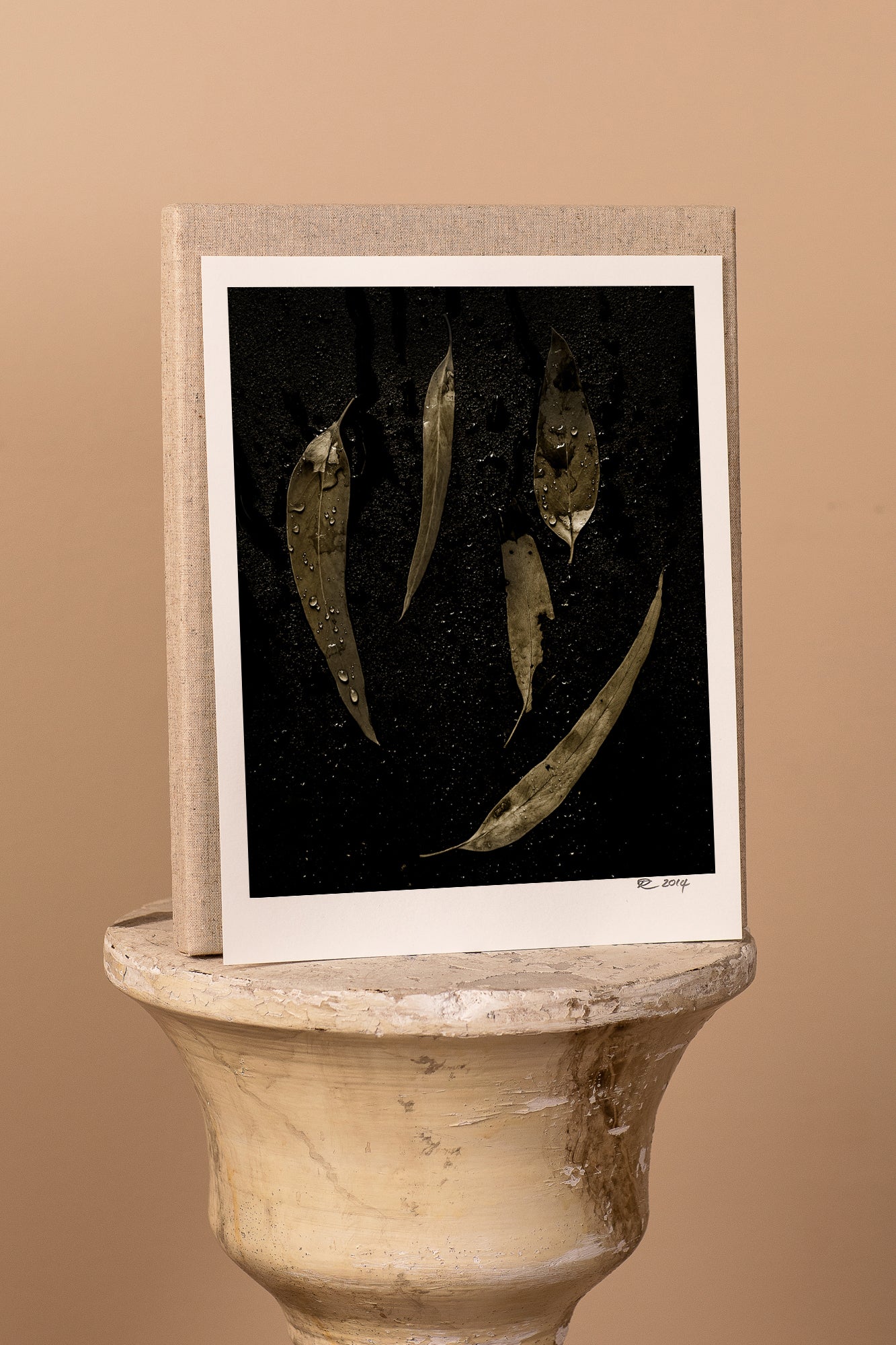 Gum Leaf Rains Print with Gift Box