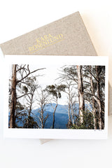 Victorian High Country Print with Gift Box