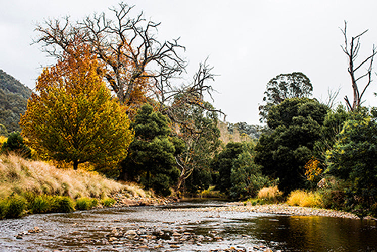 Howqua River