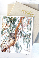 Koala Print with Gift Box
