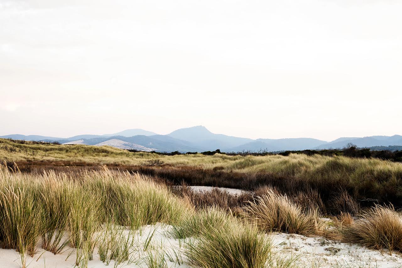 Wilderness Landscape Print with Gift Box